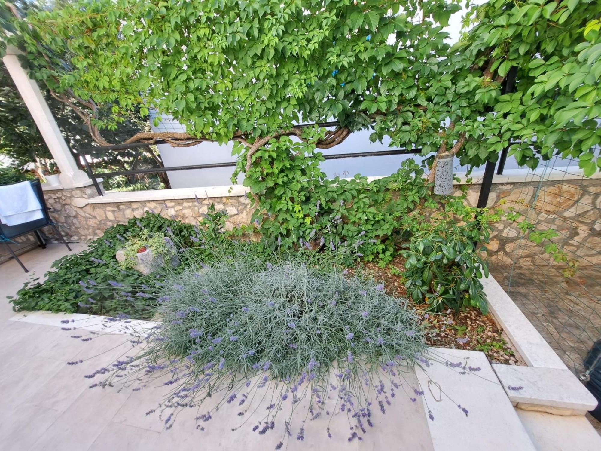 Ana Zaboric, 50 M Od Sljuncane Plaze Apartment *